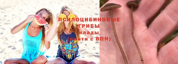 дживик Балахна
